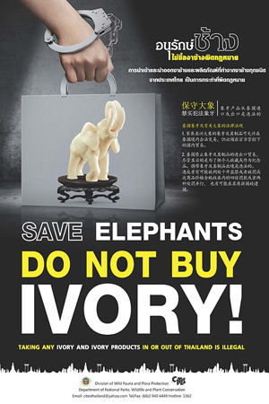 SAVE-ELEPHANTS-DO-BUY-NOT-IVORY_2-300x450