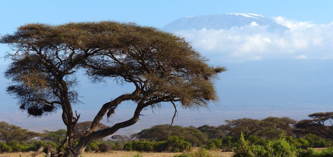 Kenia, Tanzania, Lamu i Zanzibar – 101 cudów Afryki