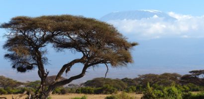 Kenia, Tanzania, Lamu i Zanzibar – 101 cudów Afryki