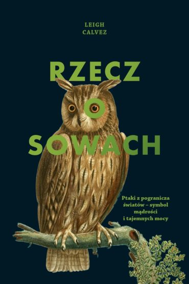 Sowy – ptaki z pogranicza światów