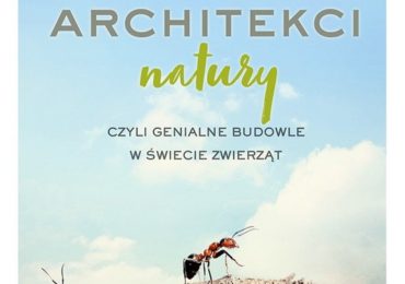 Architekci natury – genialne budowle w świecie zwierząt