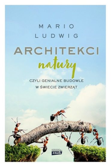 Architekci natury – genialne budowle w świecie zwierząt