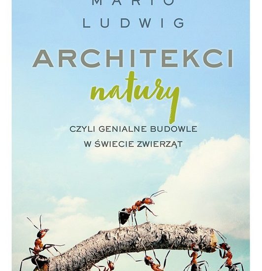 Architekci natury – genialne budowle w świecie zwierząt