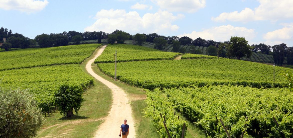 Umbria i Marche. Zielone serce Włoch