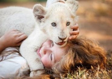 „Mia i biały lew” – opowieść o wielkiej przyjaźni dziewczynki i niezwykłego białego lwa