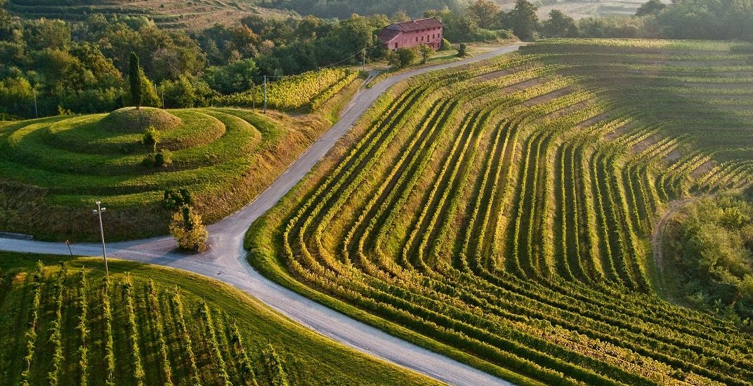 Międzynarodowa Konferencja Turystyki Winiarskiej 2020 odbędzie się we Friuli Venezia Giulia