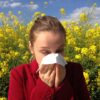 Prognoza pylenia alergenów opracowana przez IOŚ-PIB