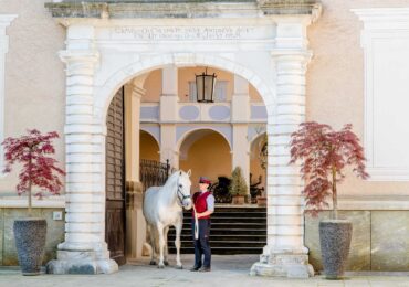 Piber i cud białych ogierów